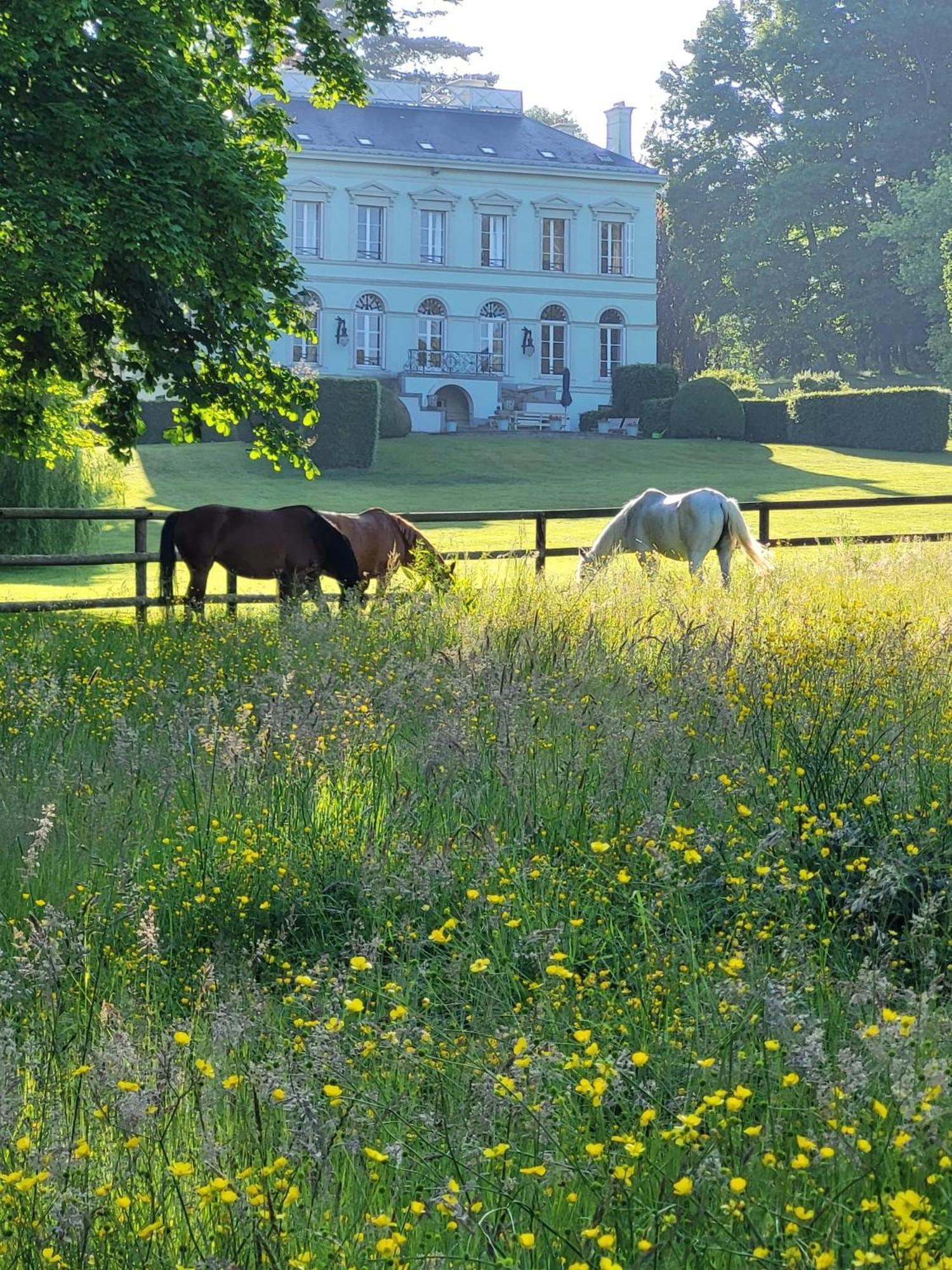 La Maison Du Cavalier, Chateau De Lavenue Pierrefitte-en-Auge Esterno foto
